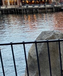 東京ディズニーシー | パーカー