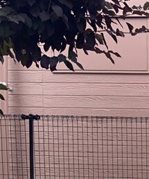 acca | バレッタ/ヘアクリップ