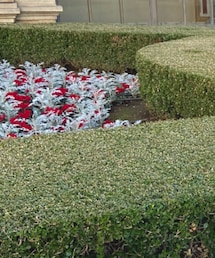 MONCLER | ダッフルコート