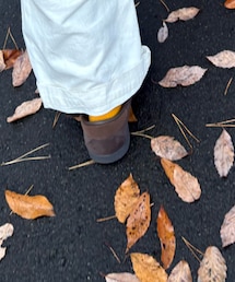 adidas | スニーカー