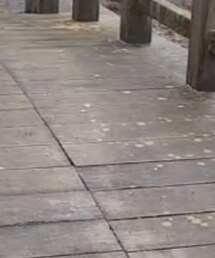 みんなのもの | その他