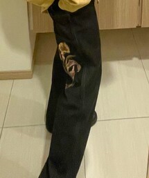 American Vintage | デニムパンツ