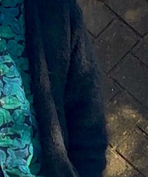 STEP AHEAD | カーディガン/ボレロ