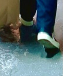 VEJAS | シューズ