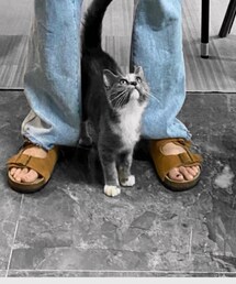 咪咪 | その他