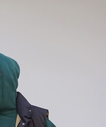 THE NORTH FACE PURPLE LABEL | ダウンベスト