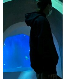 Supreme  | パーカー