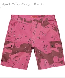 Supreme  | カーゴパンツ