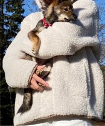 UNIQLO | トップス