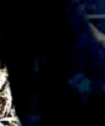 UNIQLO | トップス