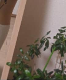 Avail | ソックス/靴下