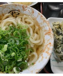 いつかの四国のうどん屋さん | アゴだし素うどんワカメ天付き🤩(その他)