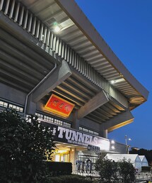 TUNNELS THE 2024 LIVE BUDOKAN | その他
