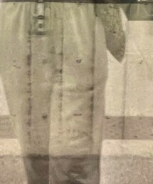 UNIQLO | チノパンツ