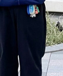 Dickies | カーゴパンツ