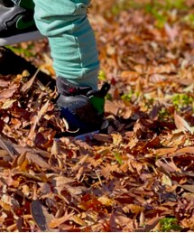 AIR JORDAN | スニーカー