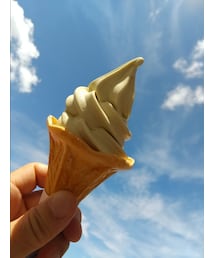 野菜の🍦🎵 | 食器/キッチン