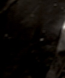 Avail | ニット/セーター