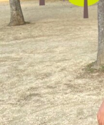 MARKEY'S | スカート