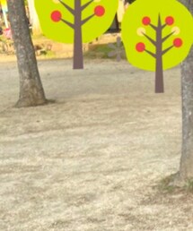 Birthday | Tシャツ/カットソー