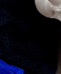 THE NORTH FACE | その他アウター