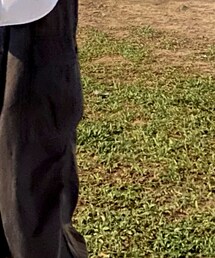 O.posim | チノパンツ