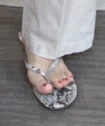 STEVE MADDEN | サンダル