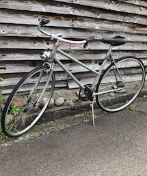 愛車2号crazysheep「CHAROLLAIS」 | その他