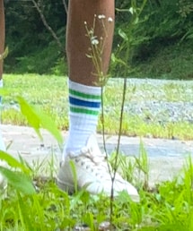 ファミリーマート | ソックス/靴下