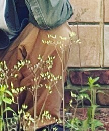 古着 | カーゴパンツ