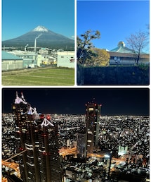 東京旅行で綺麗だった物 | その他