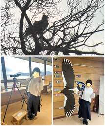 湖北野鳥センター | 写真は『トビ』だけど、犬鷲が飛んできたよ🦅(その他)