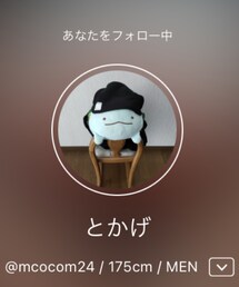 とかげさん🦎 | 福袋/福箱