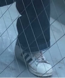 adidas | スニーカー