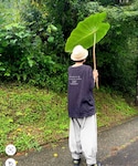 みえちゃんの「その他(その他)」