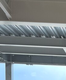 AVIREX | シャツ/ブラウス