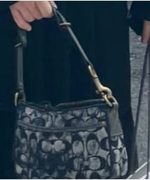 COACH | ハンドバッグ