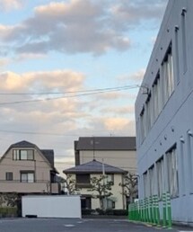 adidas | スニーカー