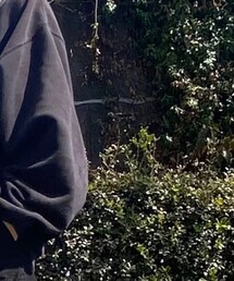 STUSSY | スウェット