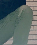 Dickies(ディッキーズ)の「パンツ(チノパンツ)」