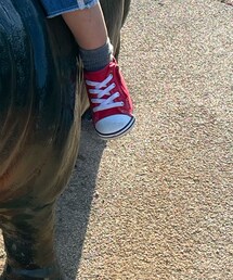 CONVERSE | スニーカー