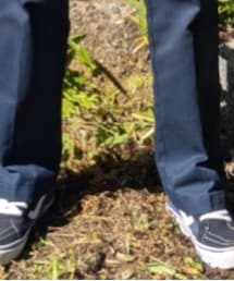 VANS | スニーカー