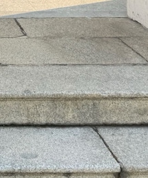 WILLFULLY | スカート