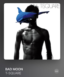 Bad Moon / T-SQUARE | J-Fusion (1994) (CD)