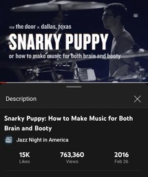 Snarky Puppy: How to Make Music for Both | Jazz Fusion (2016)(音楽/本・雑誌)