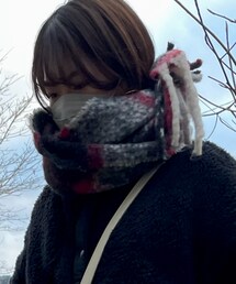 ADAM ET ROPE' | マフラー