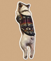 おニューのフリース🐷 | その他