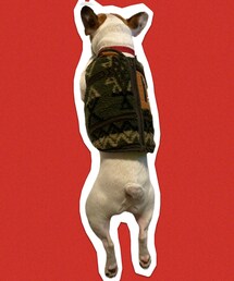 アウター🐷 | あったかそうなやつ🔥常にこの姿勢🐷(その他)