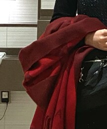 LOUIS VUITTON | マフラー