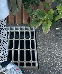 Another fox | パンツ
